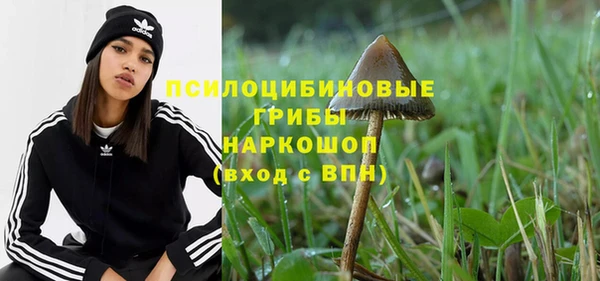 гашиш Бородино