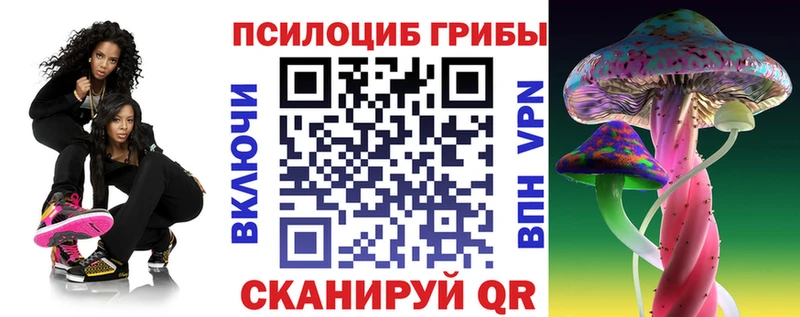 что такое   hydra ссылки  Псилоцибиновые грибы Psilocybe  Пласт 